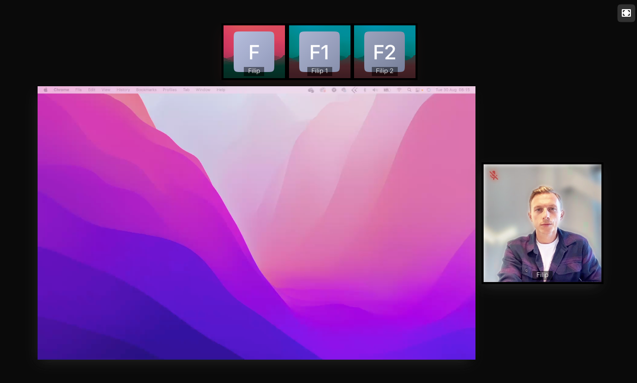 conference_presentation_view.png